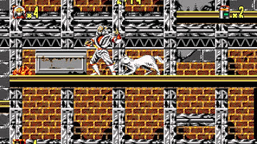 Shadow Dancer Longplay (Amiga) [50 FPS]