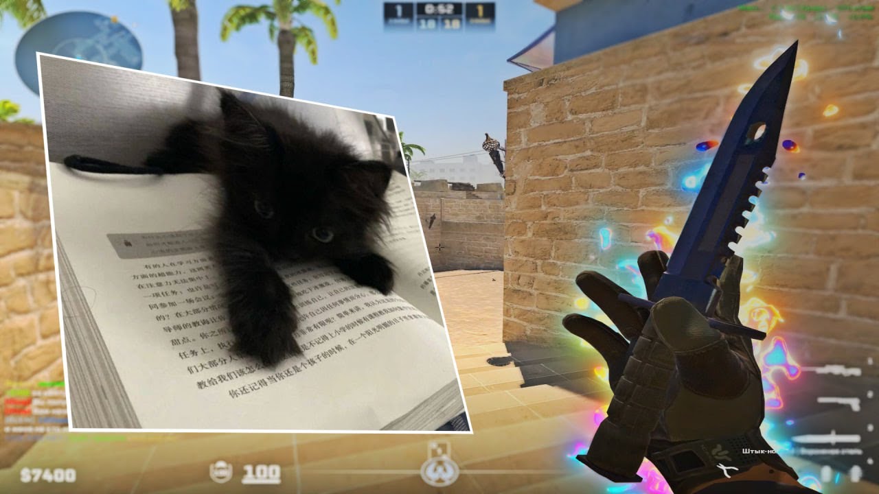 𝖇𝖊𝖆𝖚𝖙𝖎𝖋𝖚𝖑 - YouTube