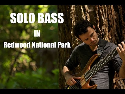 spiders-&-redwoods---solo-bass-composition-filmed-in-redwood-national-park---josh-cohen