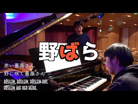 [字幕付き]シューベルト/野ばら  Schubert/Heidenröslein