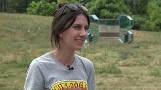 Clear the Shelters arrives as Northeast Ohio animal shelters struggle with overcrowding.