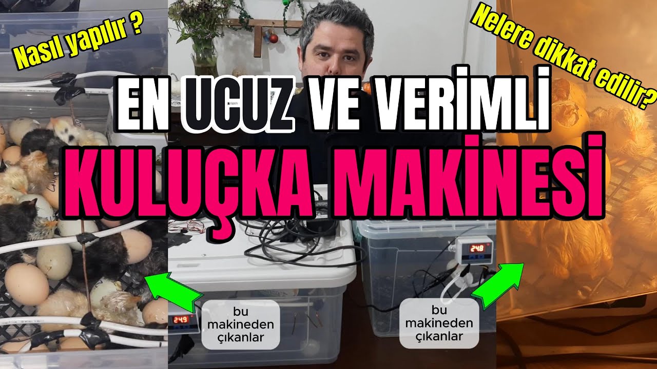 Kuluçka Makinesi Yapımı 2025 (EN UCUZ) 🐣 %100 Civciv Çıkımı için Tavuk Kuluçka Rehberi!
