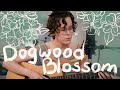 dogwood blossom by fionn regan 🌺 (umilele cover)