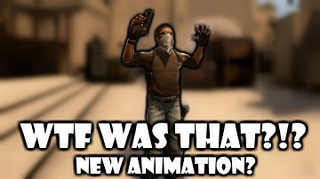 THE BELLY-FLOP?!? | CS:GO New Animation? #WTF