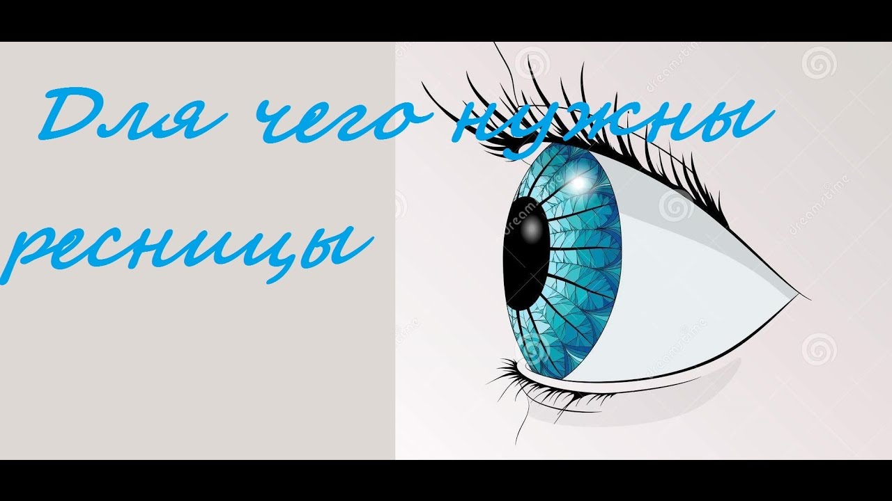 Для чего человеку нужны ресницы