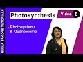 Photosynthesis | NEET | Photosystems & Quantosome | Neela Bakore Tutorials