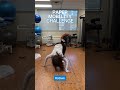 💪👀 Pick The Paper Challenge! #mobilitychallenge #flexibilitychallenge #corechallenge