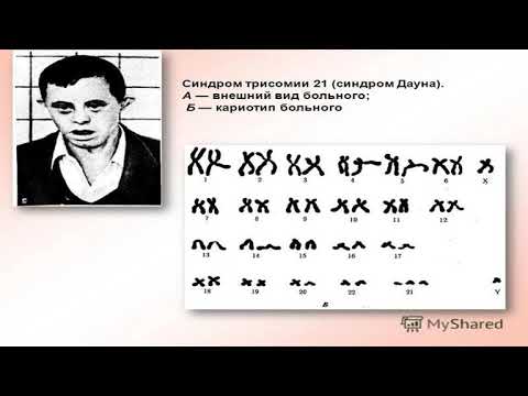 Каф Молек бтол Каримова С С  Цитогенетический метод online video cutter com