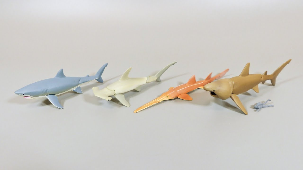 夏の終わりはサメでキメろ サメづくしの可動するカプセルフィギュアを紹介するよ 青き海の世界 ザ シャーク Youtube