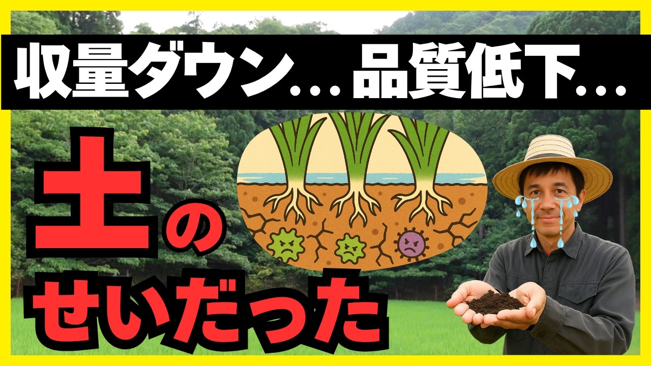 猛暑で米の品質を落とさない！収量が激変する「最強の土づくり」入門