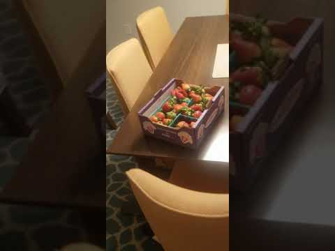 Bluegreen Sunshine Resort Florida 