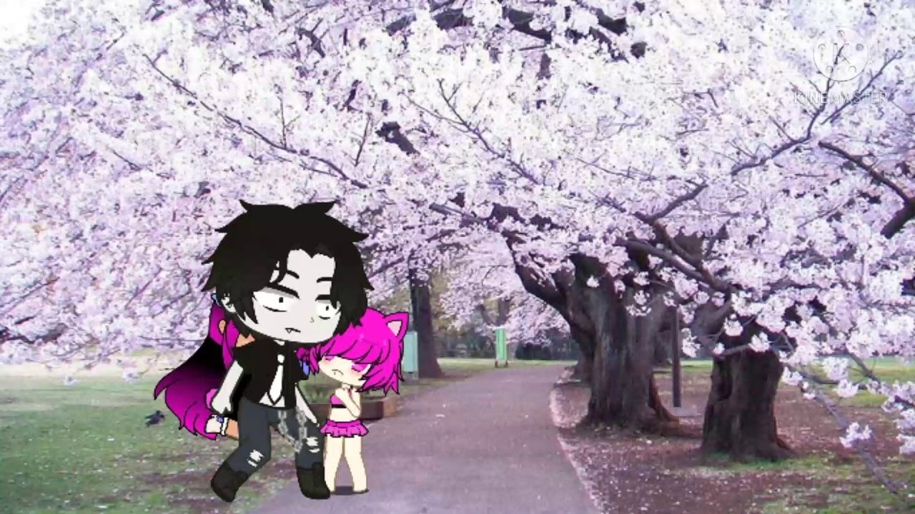 when UwU cat come to u - YouTube