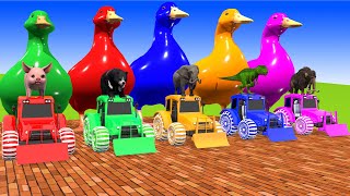 5 Giant Duck, Monkey, Piglet, chicken, dog, pig, cow, Sheep, Transfiguration funny animal 2023