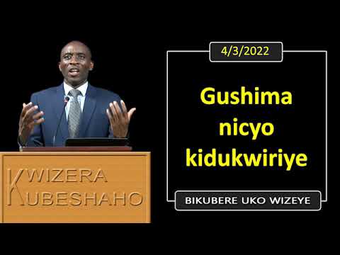 Video: Kwa nini miti ya birch ina michirizi nyeusi kwenye shina lao cafe yangu?