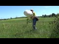 How to Collect Hymenoptera? Use of Csaba Thuroczy Extractor Trap to Collect Hymenoptera Parasitica.