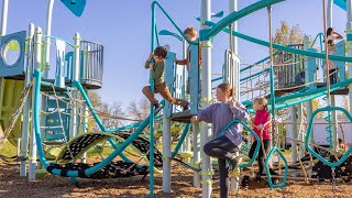 Firepole w/Vibe® Handholds - Landscape Structures