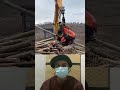 Giant Excavator vs Massive Trees