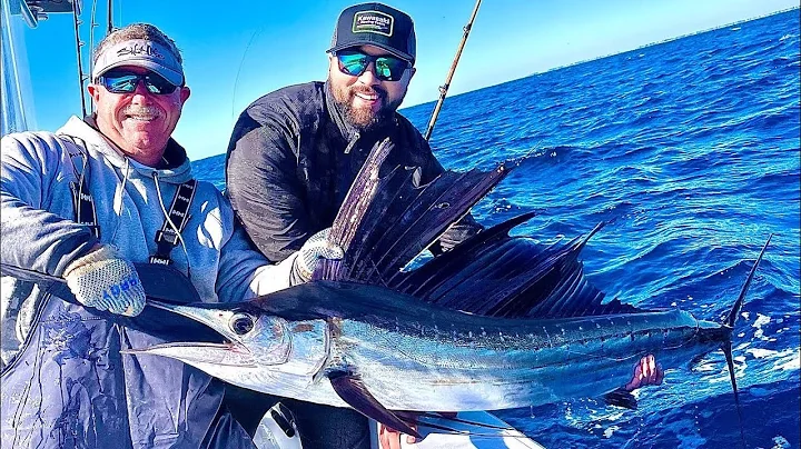 Florida Keys Fishing Sailfish Tuna Cobia Snapper