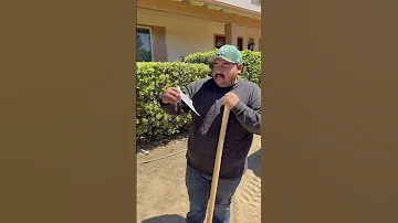 Paid Vacation Or Dig A 4 Foot Hole Alone Shorts 
