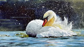 Watercolor painting of a swan