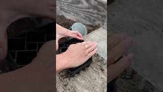 Filling A Mini Wini At Neversink Farm