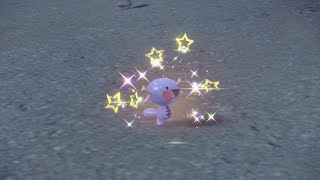 PEV :  Axoloto De Paldea (Paldean Wooper) Shiny 8