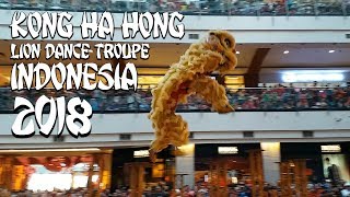 Kong Ha Hong - Lion Dance Troupe Indonesia 2018 Barongsai Chinese New Year