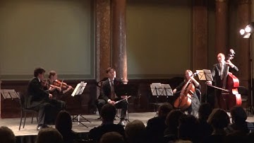 Heinrich HOFMANN: SERENADE for Flute and Strings OP. 65. Dávid Kanyó - flute