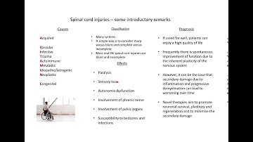 Introduction to spinal cord injuries