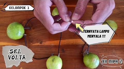 Praktikum Kimia Sel Volta Dengan Menggunakan Jeruk Nipis || Kelompok 1 (XII MIPA 2)