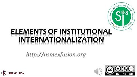Elements of Comprehensive Internationalization - Si3 USMEXFUSION