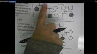 Pedigree Practice Worksheet