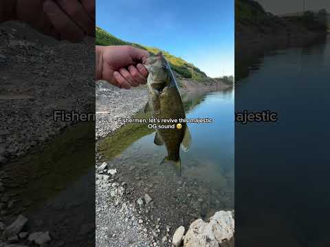 Spread the word 🫡🎣 #fishing #viral #shorts #fyp