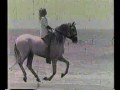 Tiempo bbdo barcelona 50 aos el caballo y la chica de terry 1964