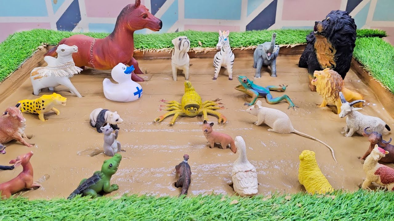 Rolling in the Mud 💦🐸🐶 Investigating the Secret Life of Pet and Forest Animals!