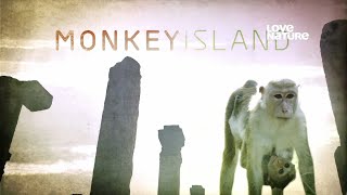 Love Nature Maymun Adası Monkey Island 1 Bölüm 1080P Tr Dublaj