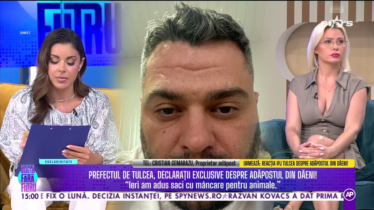 Garda de Mediu a descins la adăpostul din Dăeni! Nereguli grave la adăpostul de câini