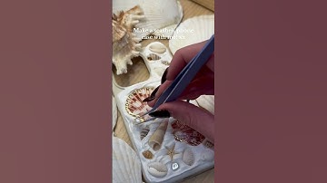 DIY SEASHELL PHONE CASE! 🐚🩷 #seashellphonecase