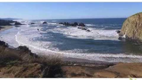 G.5.3 The Lincoln Index