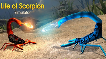 Life of Scorpion Android Gameplay HD