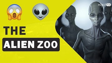 The Alien Zoo