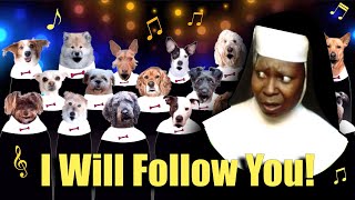 I Will Follow You  Sister Act Parody Song for Dogs! Featuring the Canine Choir