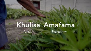 UCOOK’s Khulisa Amafama Project