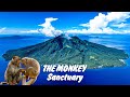 Hiking to the maripipi volcano biliran province mt maripipi  life print tv