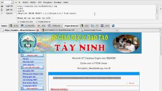 Hacking Academy - Sql MS Acess Blind sql injection technology
