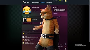 “How many hours you have in CS2 ?”