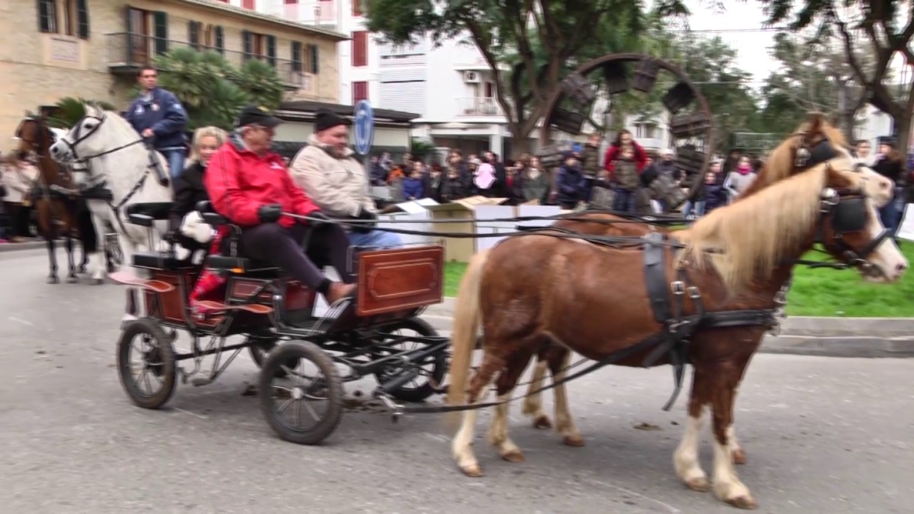 Beneïdes Sant Antoni Inca 2017