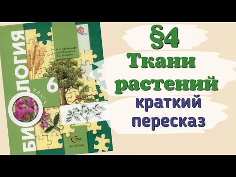 Краткий пересказ §4 Ткани растений. Биология 6 класс Пономарева