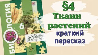 Краткий пересказ §4 Ткани растений. Биология 6 класс Пономарева