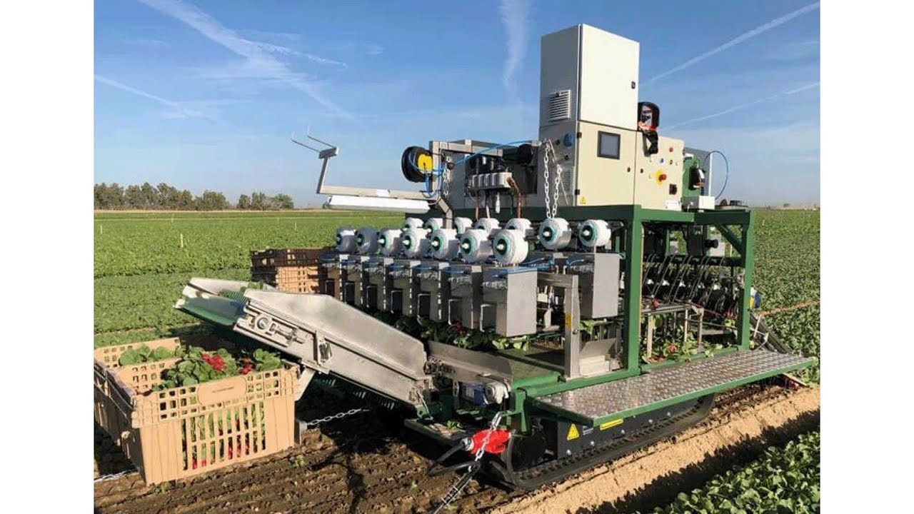 Lightning Talk: An Argument for Working from Home: A Real (Estate) Rant - Gail Ollis - ACCU 2023